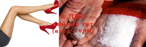 PSILOCYBIN Аркадак